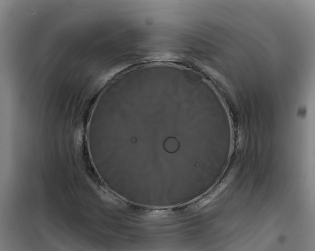 X0000100361161200807031831