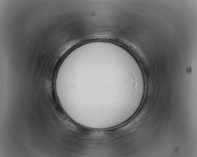 X0000100361162200807031831