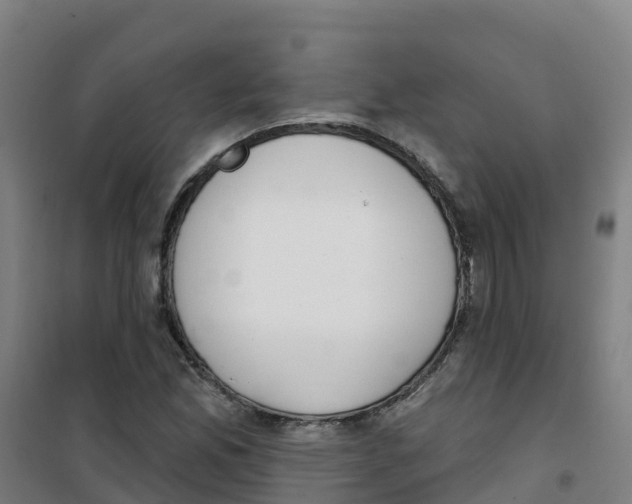 X0000100361165200807031831