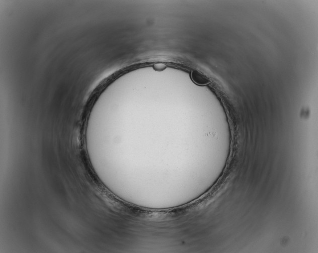 X0000100361166200807031831