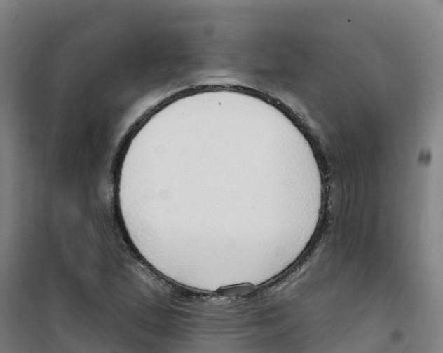 X0000100361167200807031831