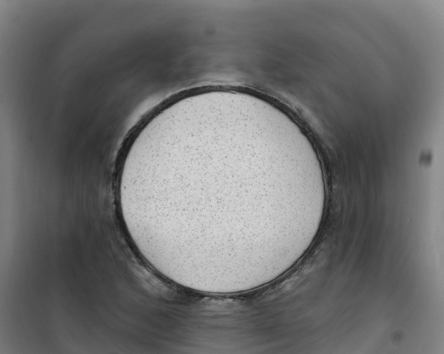 X0000100361168200807031831