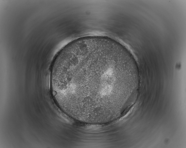 X0000100361171200807031831