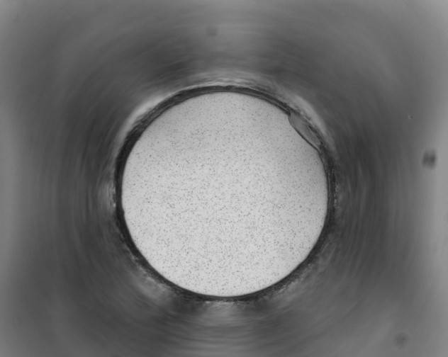 X0000100361172200807031831