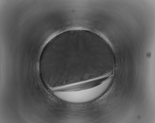 X0000100361173200807031831