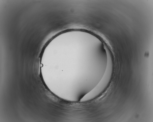 X0000100361175200807031831