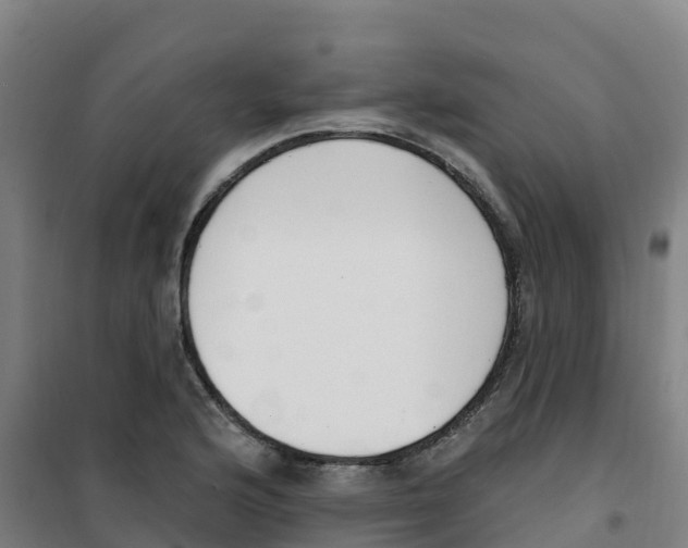 X0000100361176200807031831