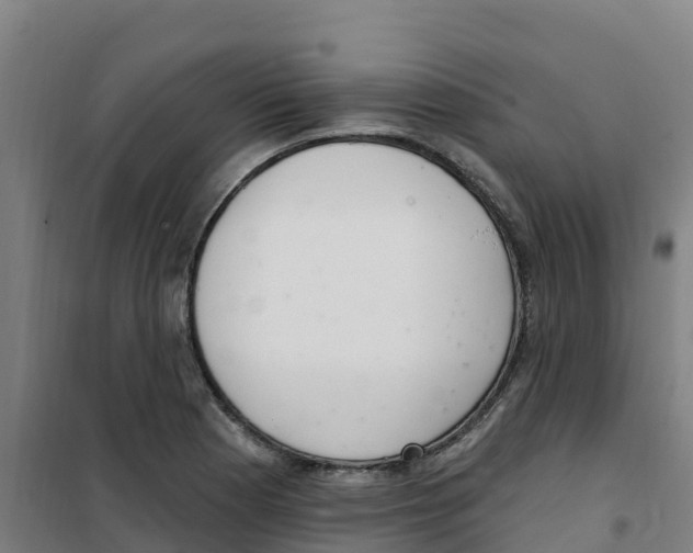 X0000100361177200807031831