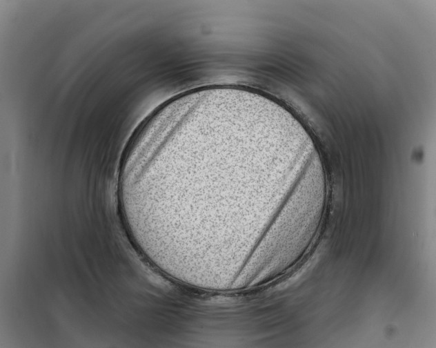 X0000100361178200807031831