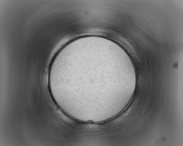 X0000100361180200807031831