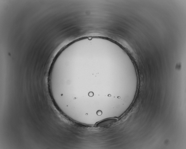 X0000100361181200807031831