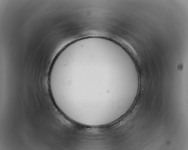 X0000100361182200807031831