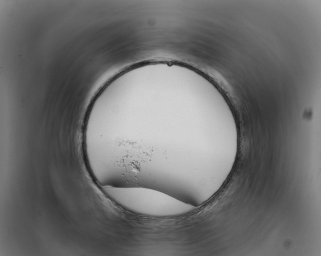 X0000100361183200807031831