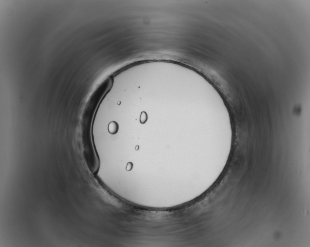 X0000100361184200807031831