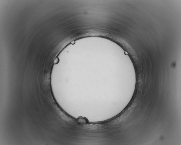 X0000100361185200807031831
