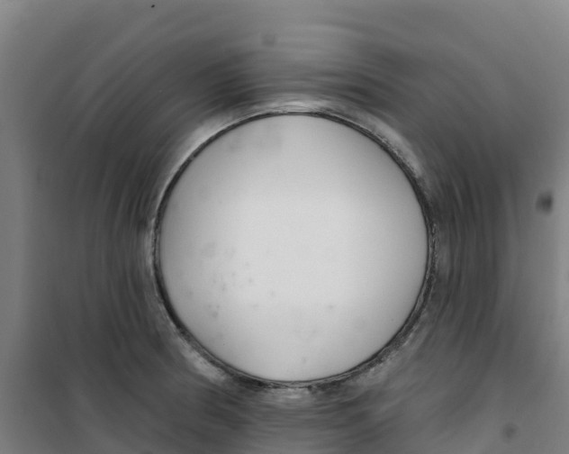 X0000100361186200807031831