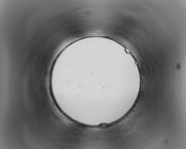 X0000100361187200807031831