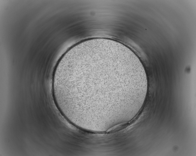 X0000100361188200807031831