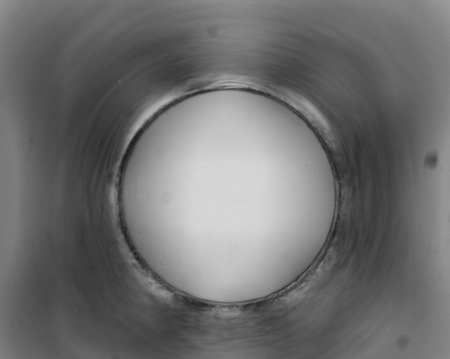 X0000100361190200807031831