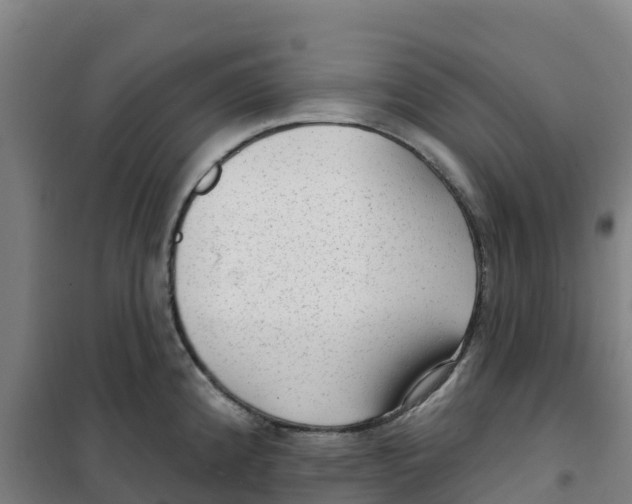 X0000100361192200807031831