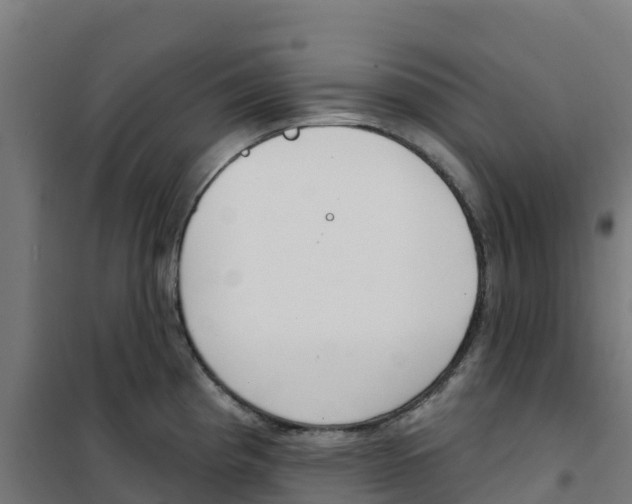X0000100361193200807031831