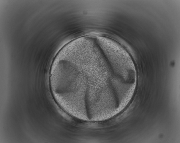 X0000100361194200807031831