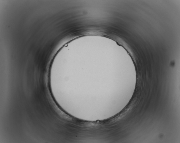 X0000100361195200807031831
