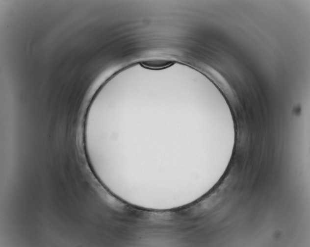 X0000100361196200807031831
