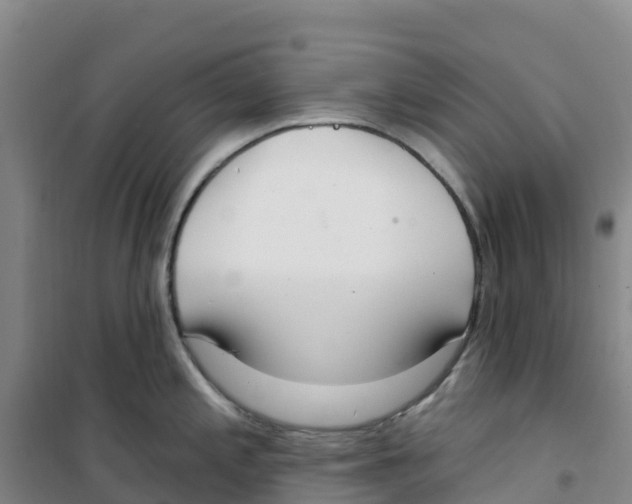 X0000100361197200807031831
