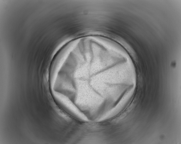 X0000100361198200807031831