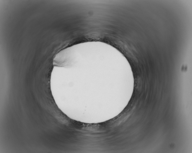 X0000100361201200807031830