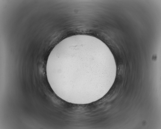 X0000100361202200807031830