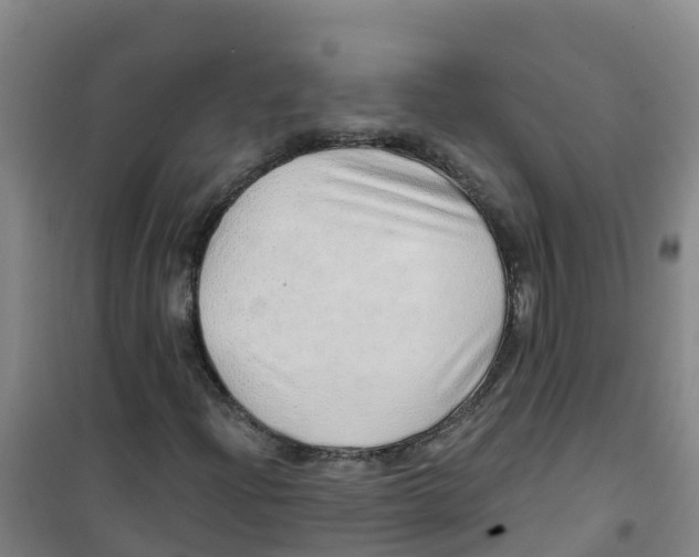X0000100361204200807031830