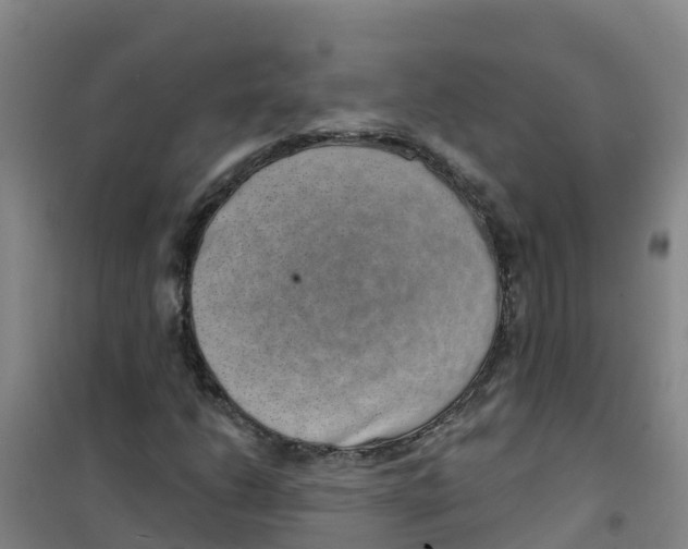 X0000100361206200807031830
