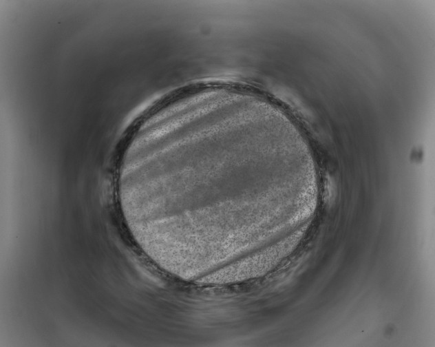 X0000100361208200807031830