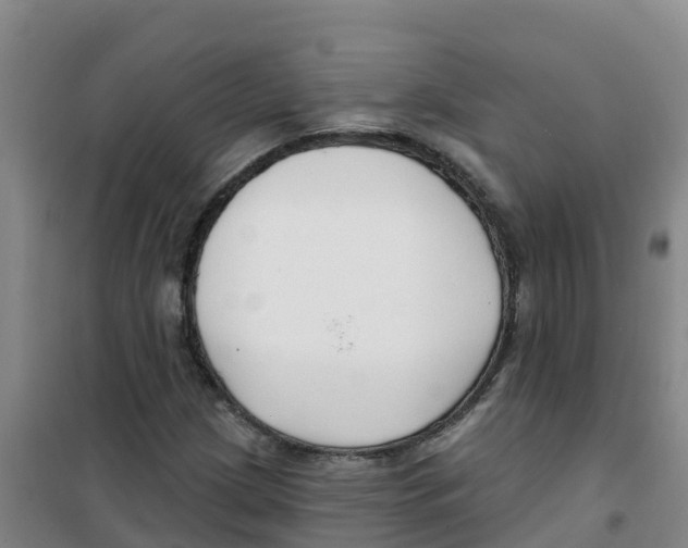 X0000100361209200807031830