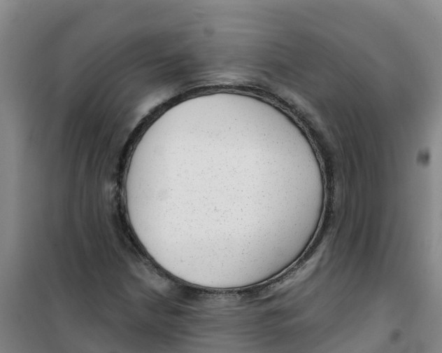 X0000100361210200807031830