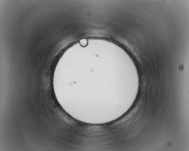 X0000100361211200807031830