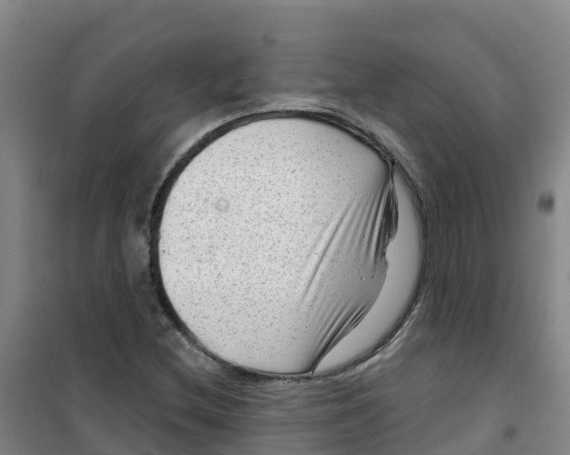 X0000100361212200807031830
