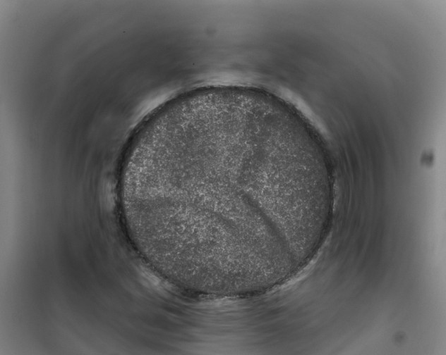 X0000100361213200807031830