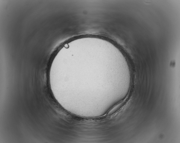 X0000100361214200807031830