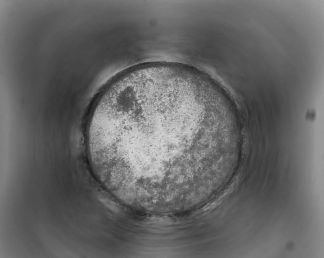 X0000100361215200807031830