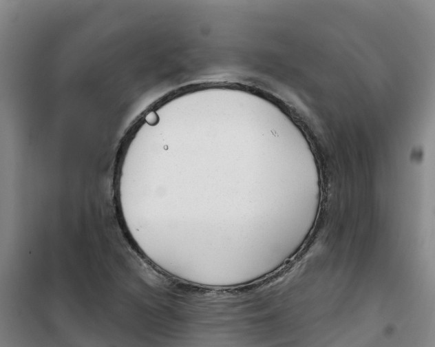X0000100361216200807031830