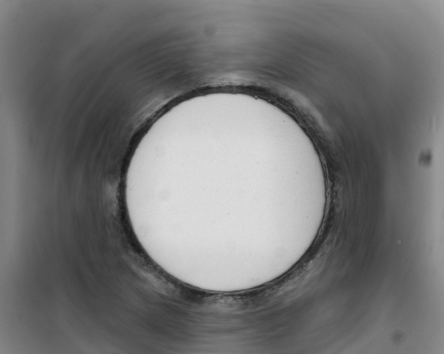 X0000100361217200807031830