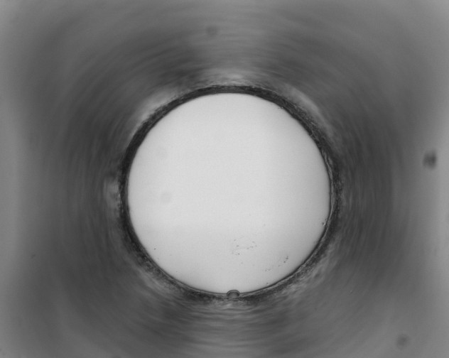 X0000100361218200807031830