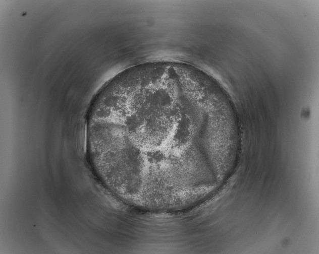 X0000100361219200807031830