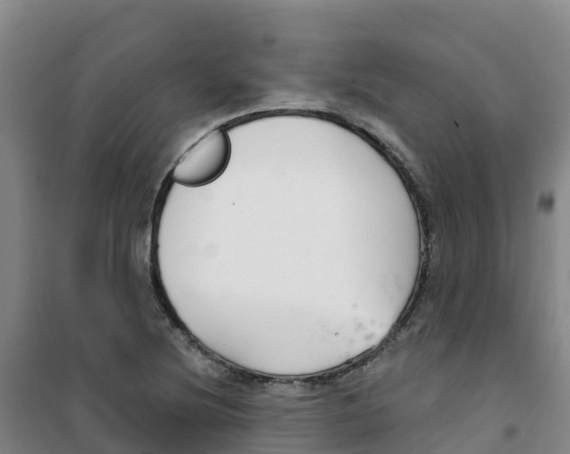 X0000100361220200807031830