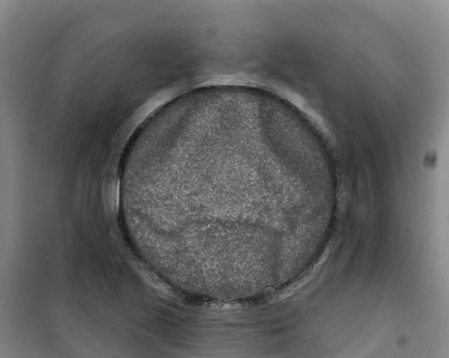 X0000100361221200807031830