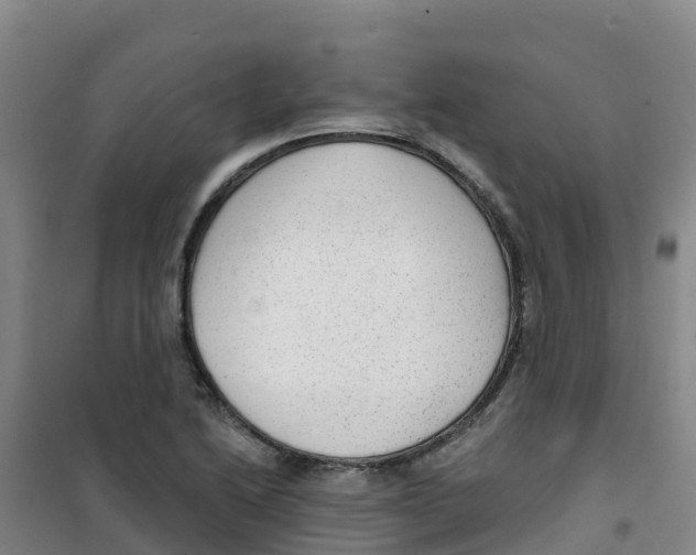 X0000100361222200807031830