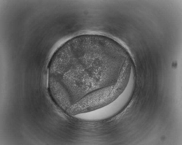 X0000100361223200807031830